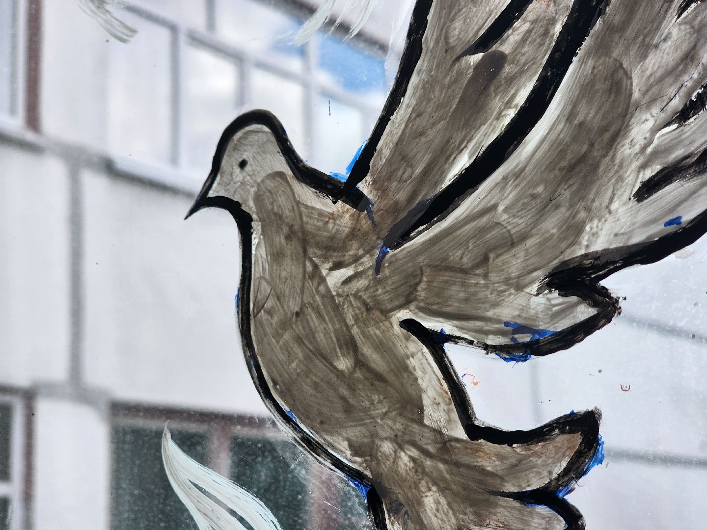 воскресенск, окна победы, школа, день победы, 9 мая, великая отечественная война,