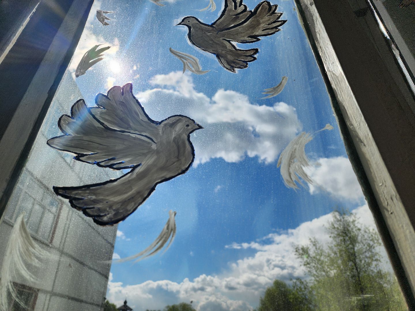 воскресенск, окна победы, школа, день победы, 9 мая, великая отечественная война,