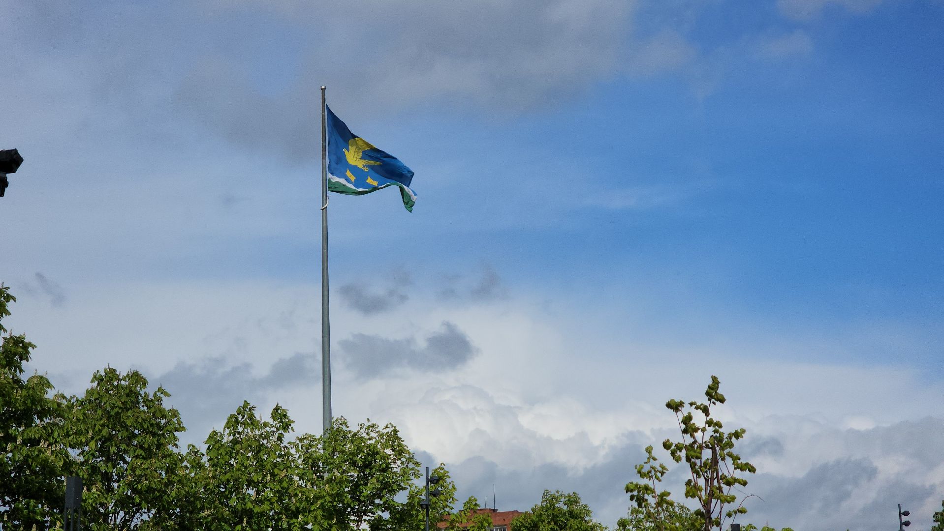 ступино, георгиевская ленточка, волонтеры подмосковья,