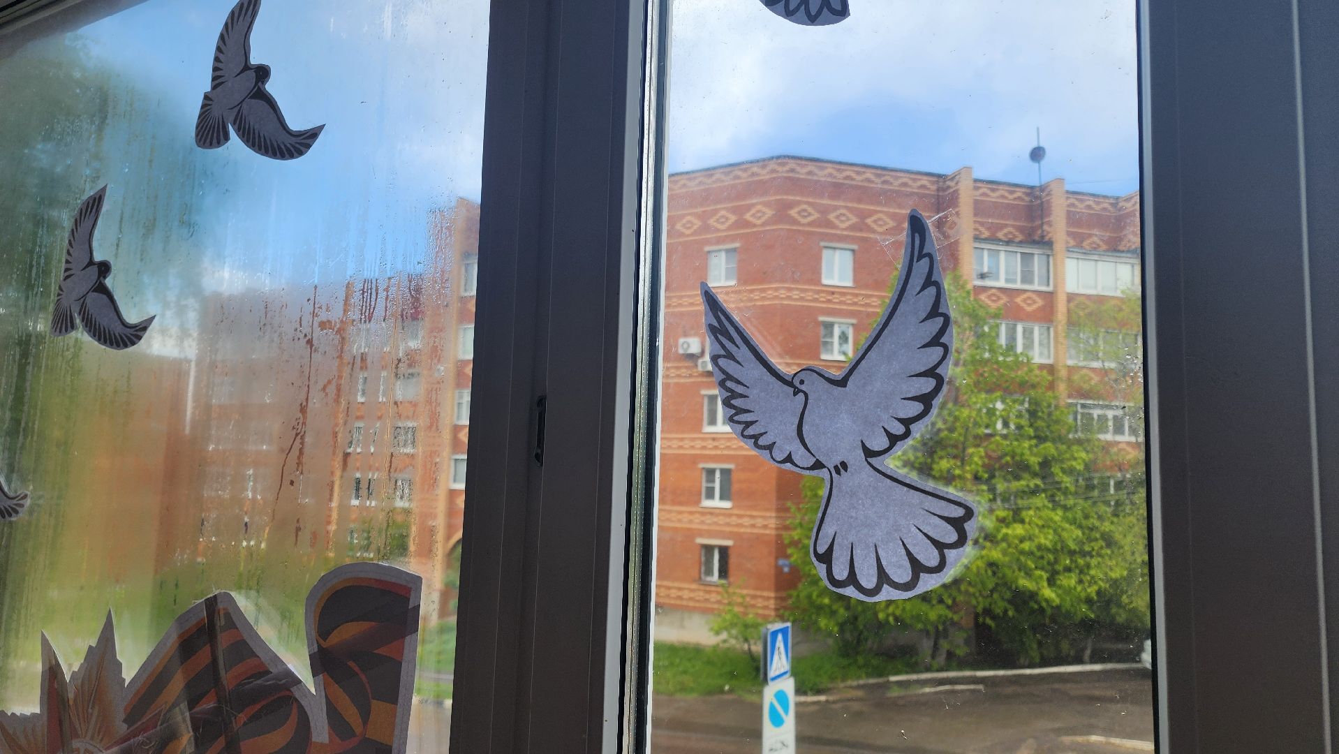 кашира, центральная библиотека, окна победы, 9 мая, день победы, георгиевская лента, голубь мира, жаравли, великая отечественная война,