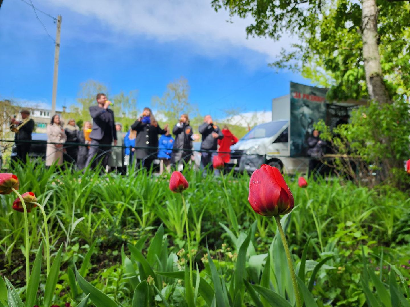 можайск, можайский городской округ, подмосковье, день победы, фронтовые бригады, поздравления, концерт под окнами, 9 мая,