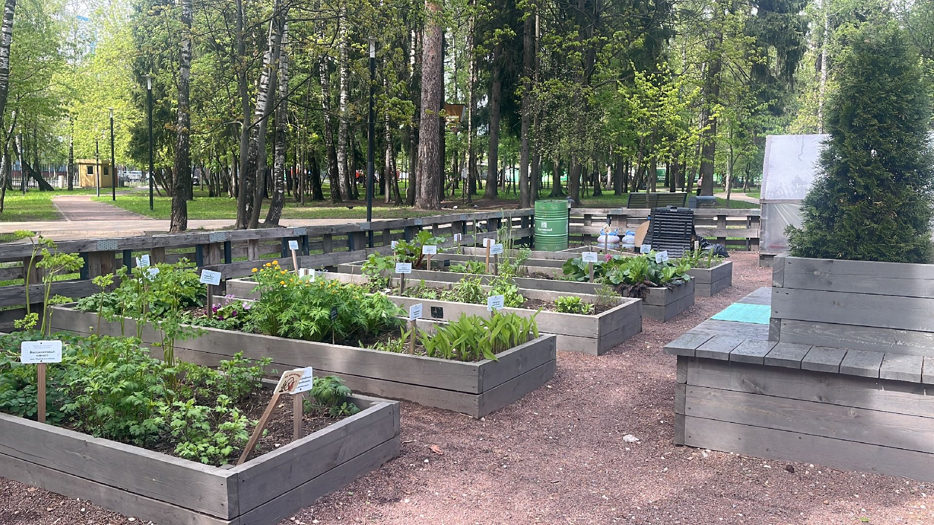 парк, парки балашихи, пестовский парк, аптекарский огород,