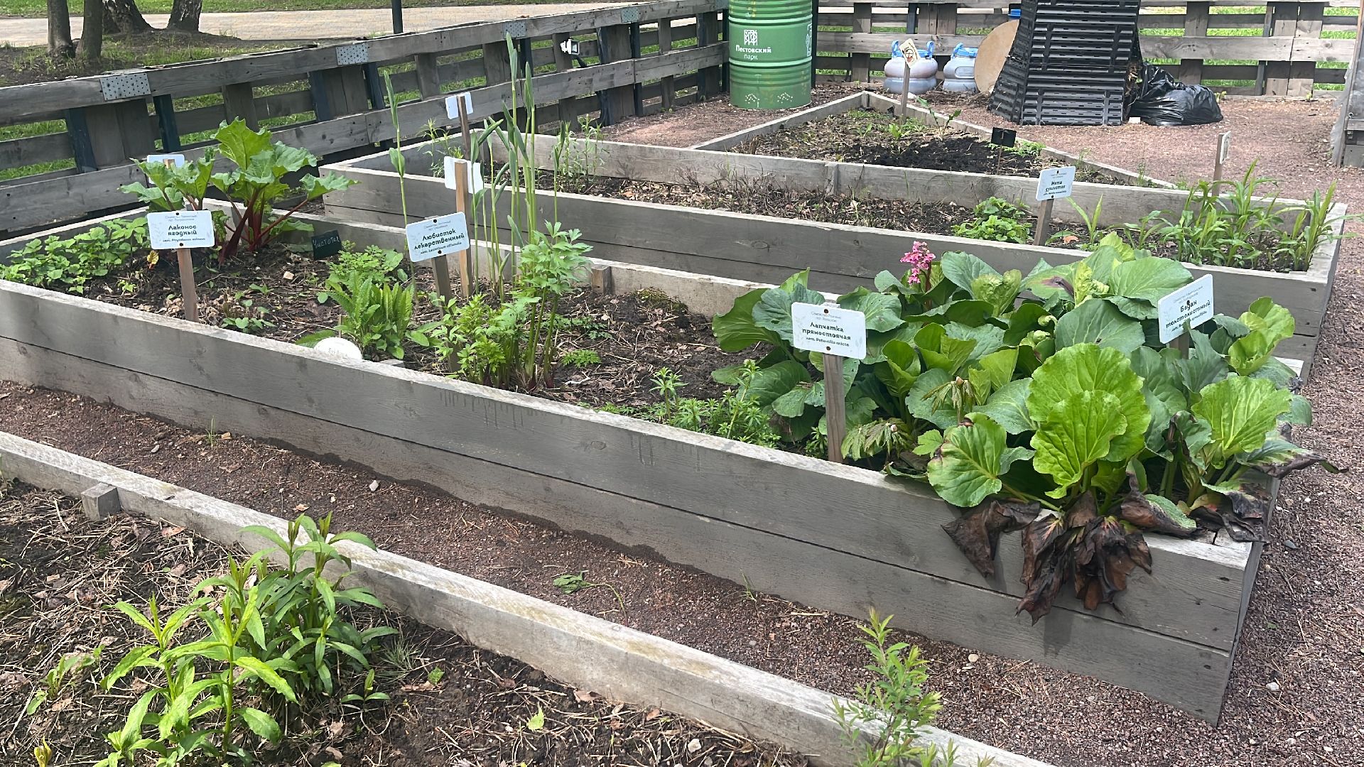 парк, парки балашихи, пестовский парк, аптекарский огород,