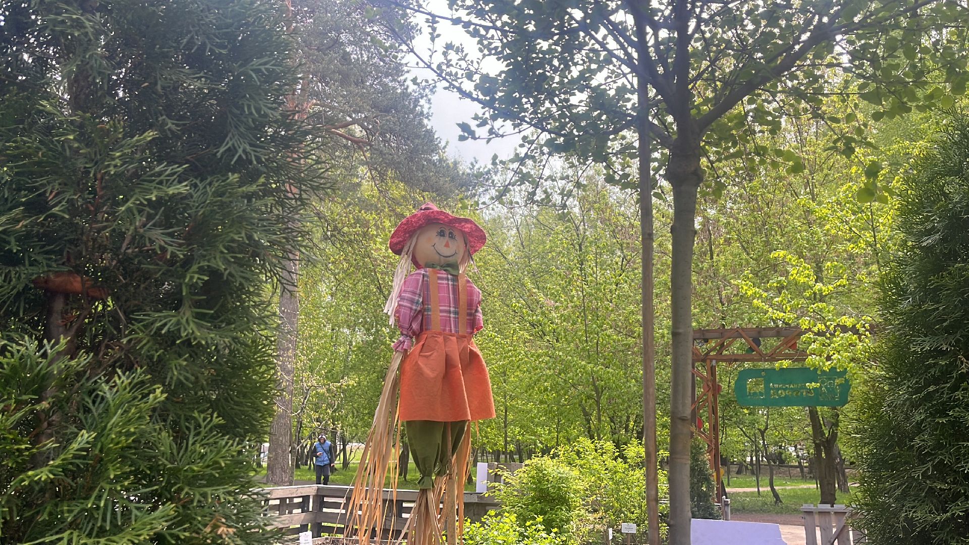 парк, парки балашихи, пестовский парк, аптекарский огород,