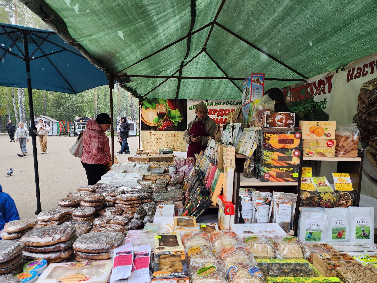 День Победы, 9 мая, Центральный парк, Ногинск, Богородский городской округ,