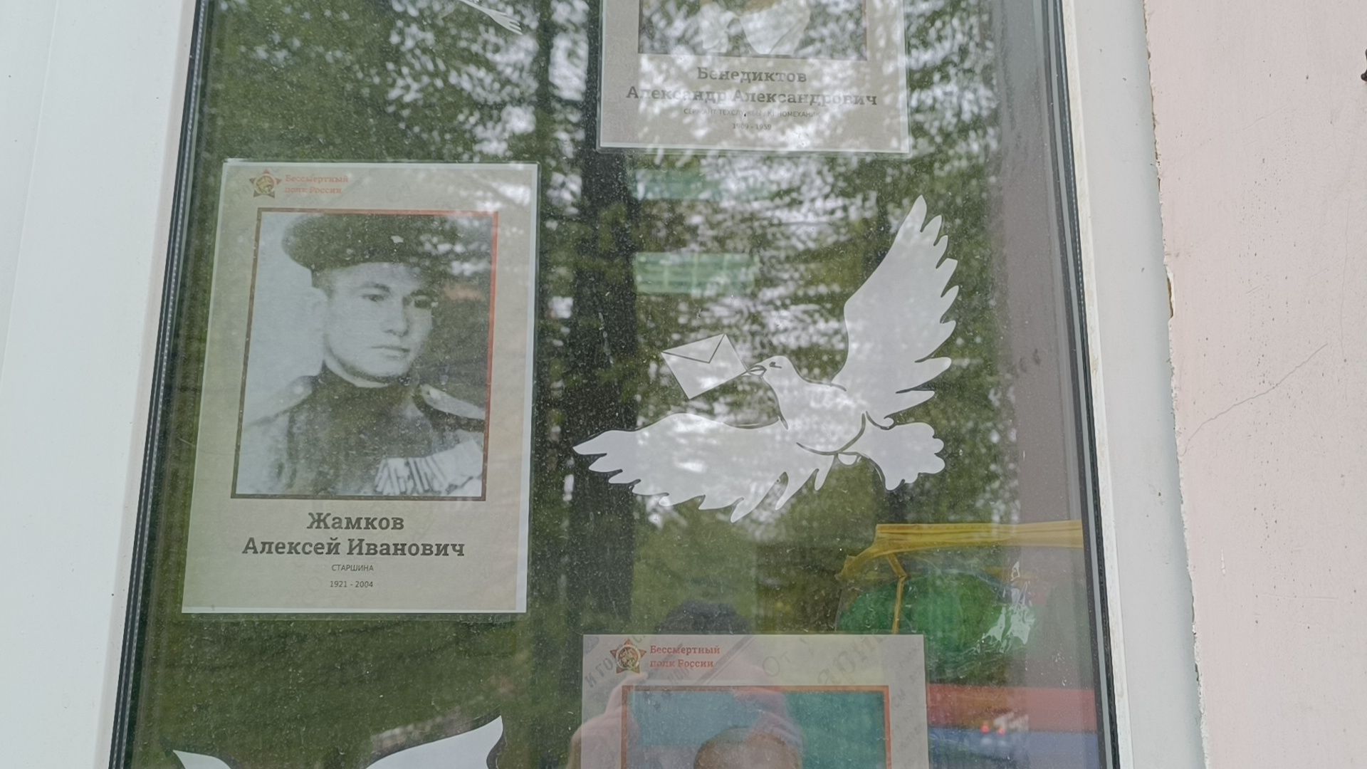 окна победы, бессмертный полк, лобня, спорт,