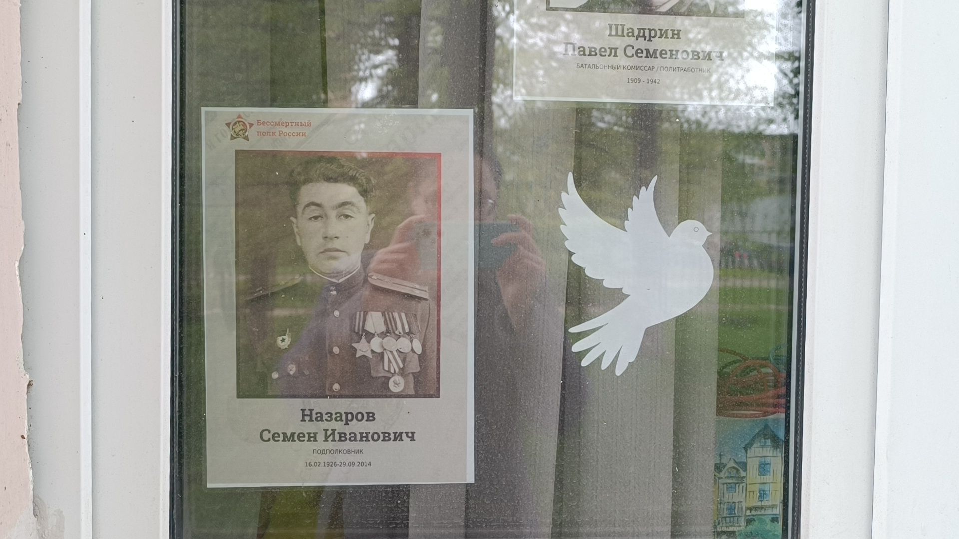 окна победы, бессмертный полк, лобня, спорт,