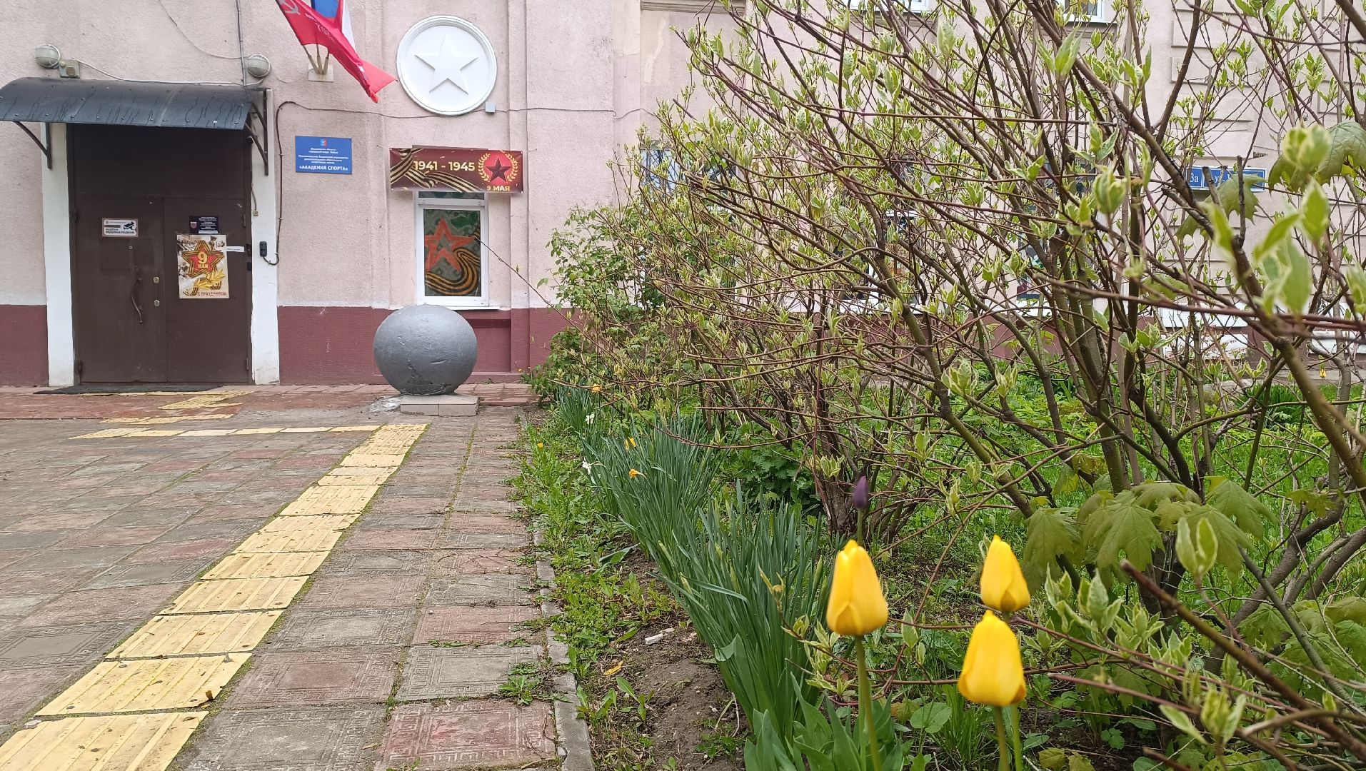 окна победы, бессмертный полк, лобня, спорт,