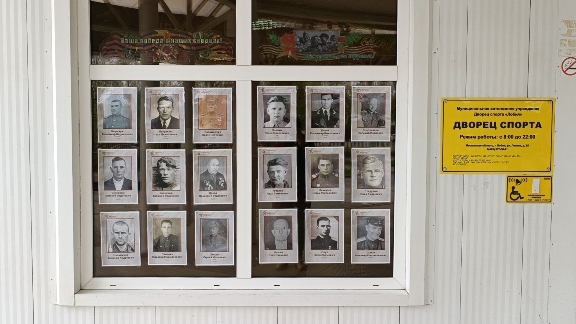 окна победы, бессмертный полк, лобня, спорт,