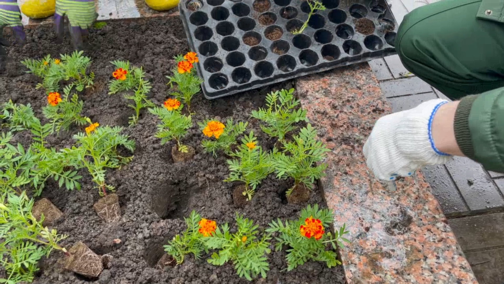 братская могила, оборона Москвы, великая отечественная война, деревня Палицы, контрнаступление под москвой,