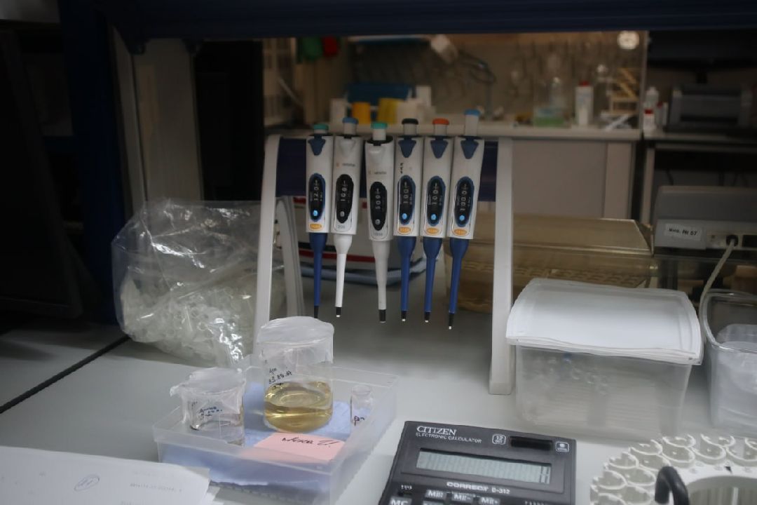 Пущино, медицина, производство, экономика