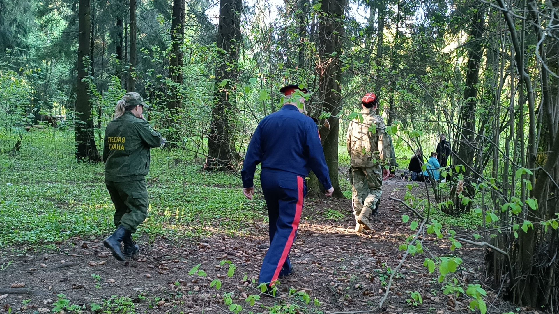 экология, лес, пожароопасный сезон, лобня,