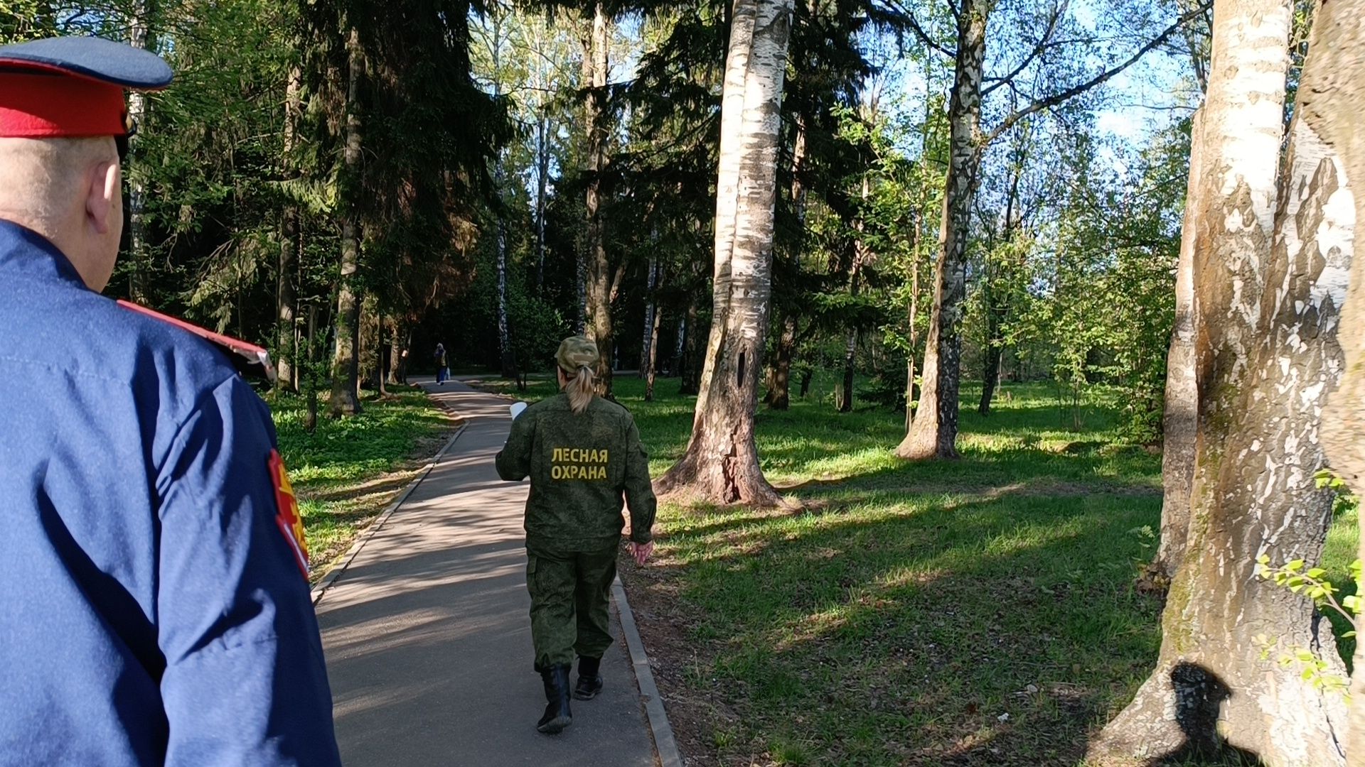 экология, лес, пожароопасный сезон, лобня,