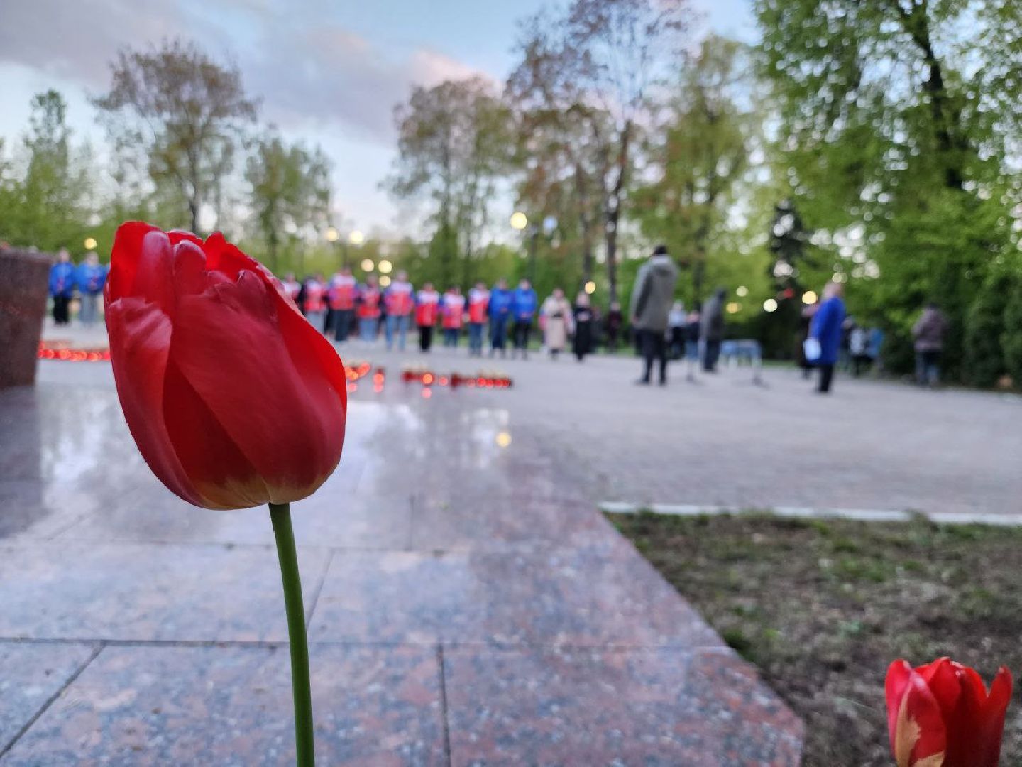 можайск, можайский городской округ, подмосковье, вахта памяти, свеча памяти, акция, память, советские солдаты, день победы, 9 мая, герои,