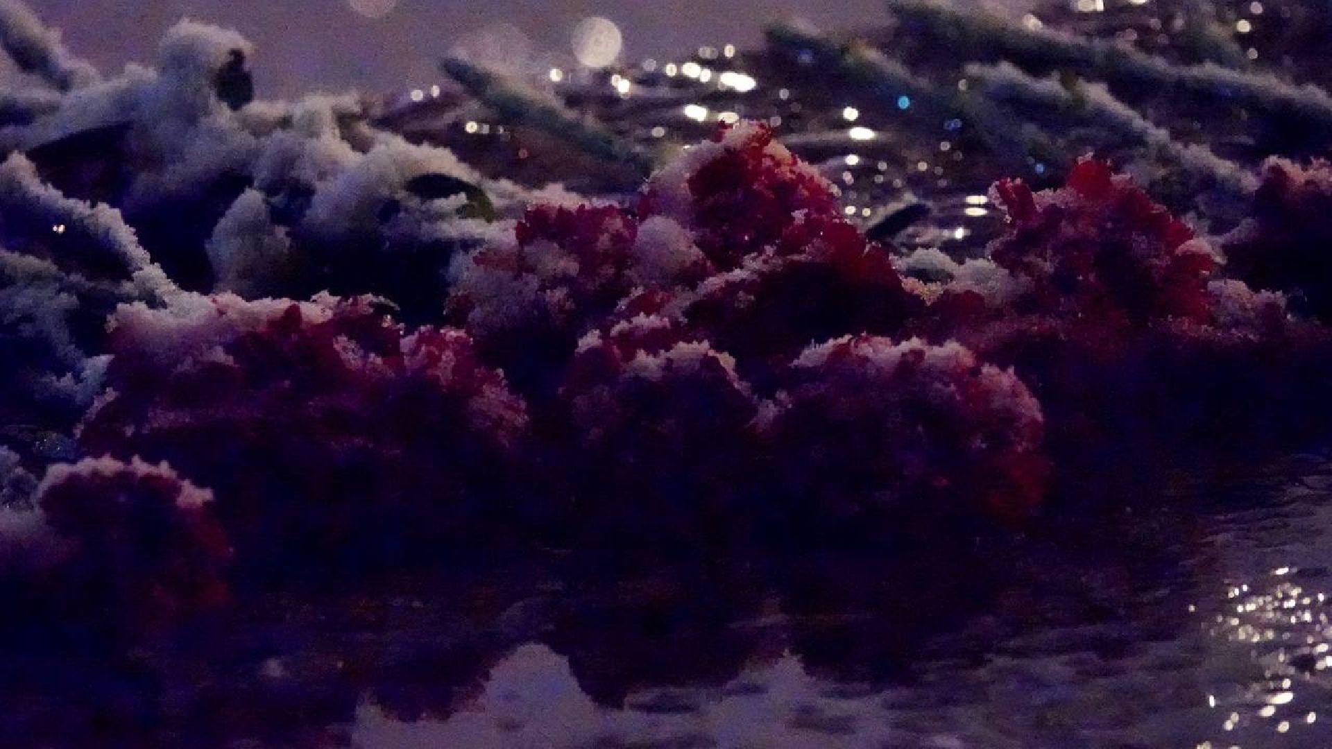 День Победы, Свеча Памяти, 9 мая, Мы Помним, Мы Гордимся, Память, Патриотизм, Сергиев Посад,