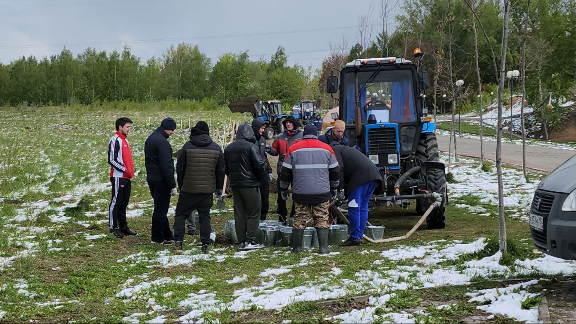 люберцы, парк победы, посадка деревьев, глава городского округа люберцы владимир волков,