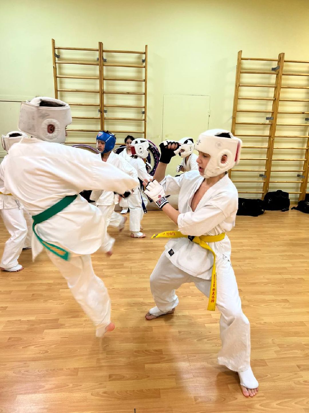 Раменское, спорт