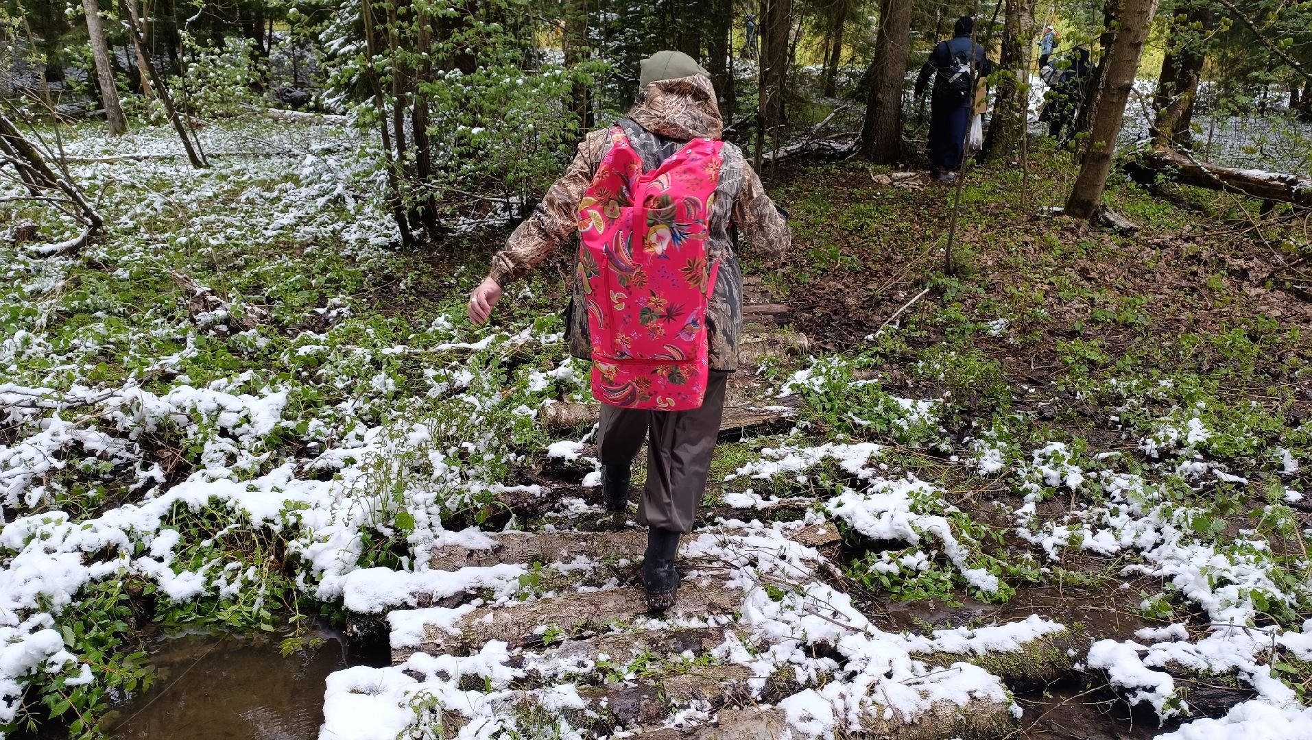 день победы, поход, лобня,