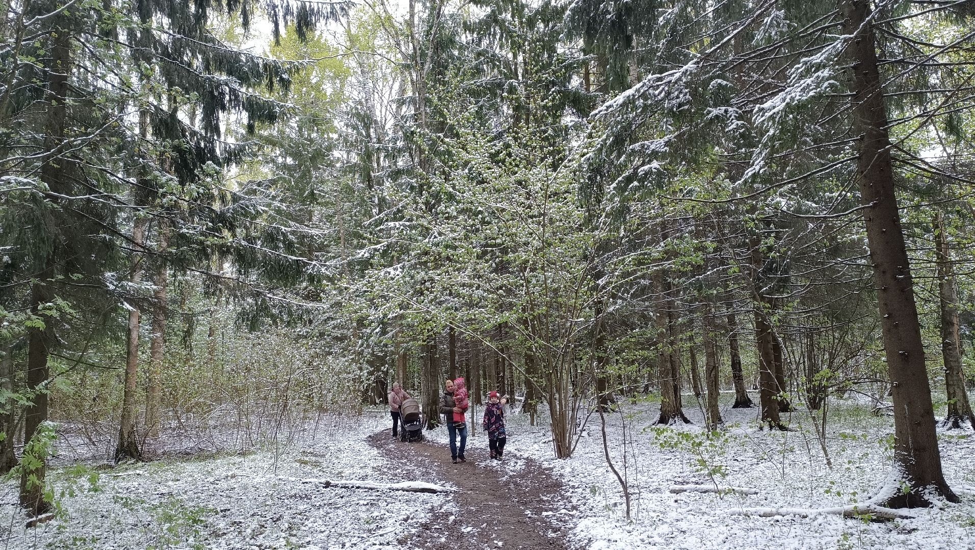 день победы, поход, лобня,