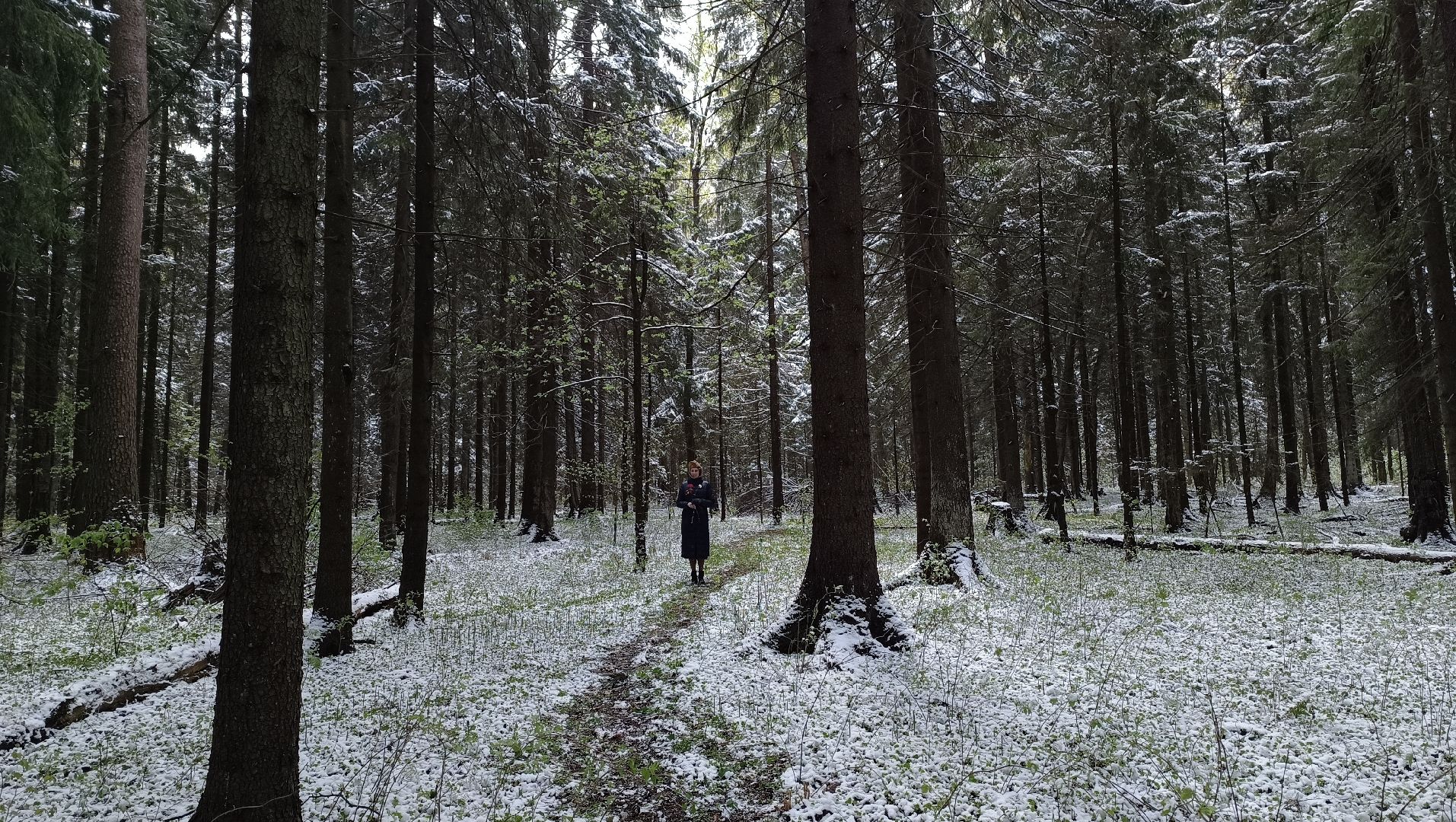 день победы, поход, лобня,