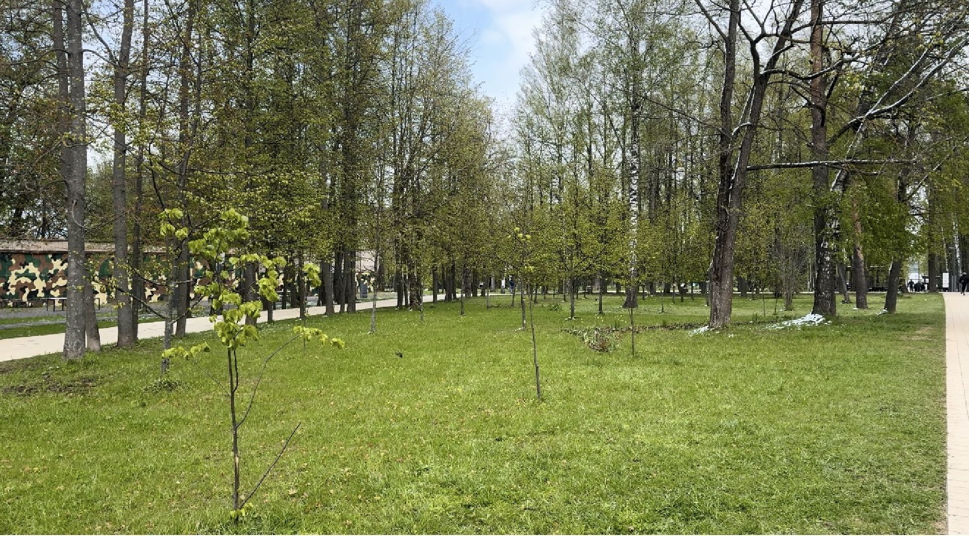 Солнечногорск, Аллея победы, день победы, 9 мая, Праздник, Жители,