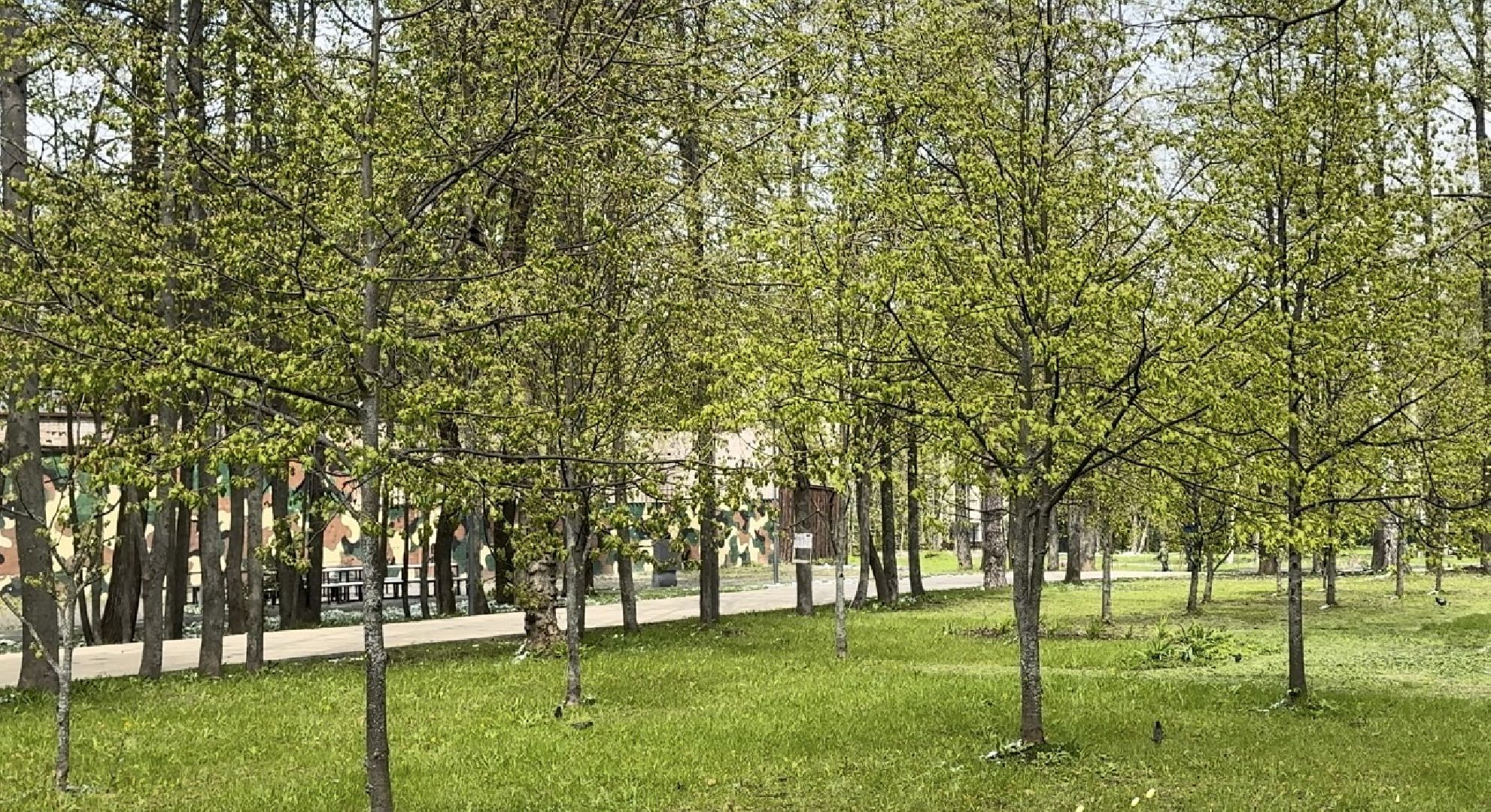 Солнечногорск, Аллея победы, день победы, 9 мая, Праздник, Жители,