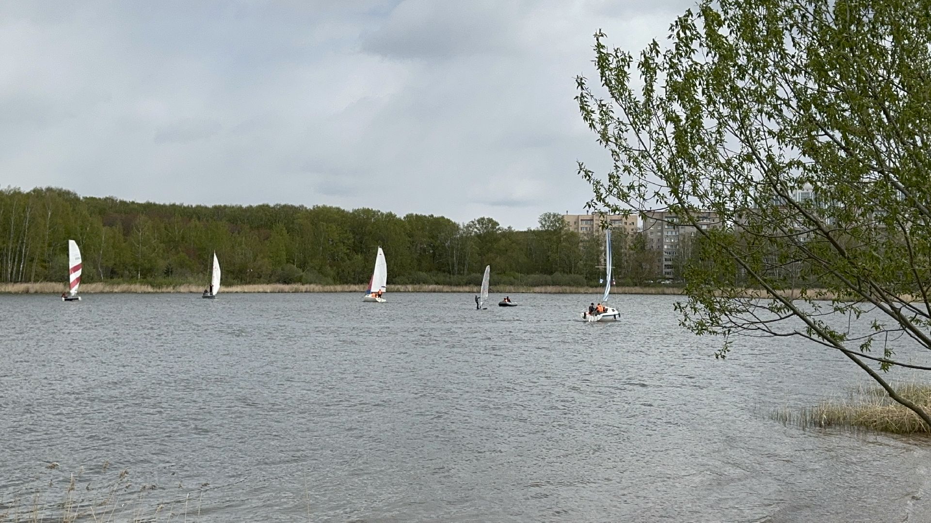 Солнечногорск, Спорт, Парусная регата, 9 мая, день победы,