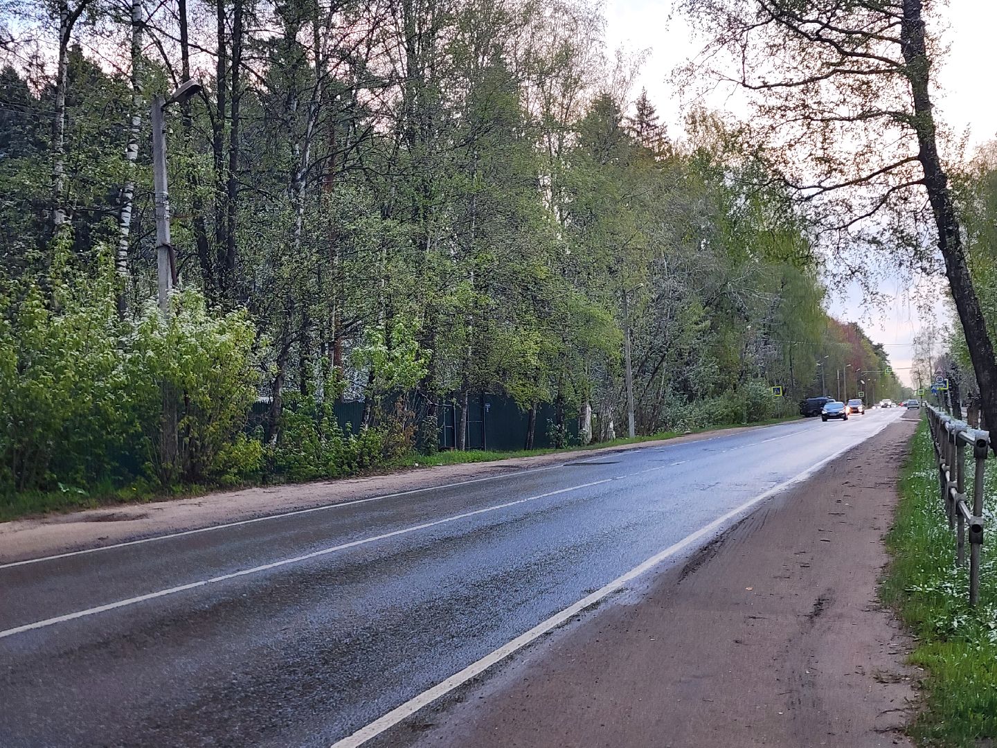пушкино,