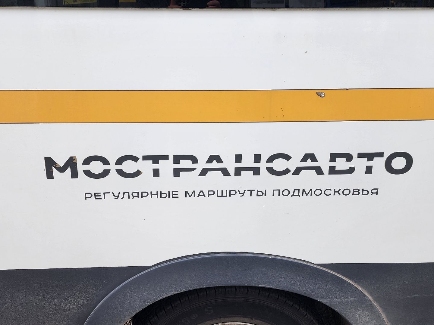 пушкино,