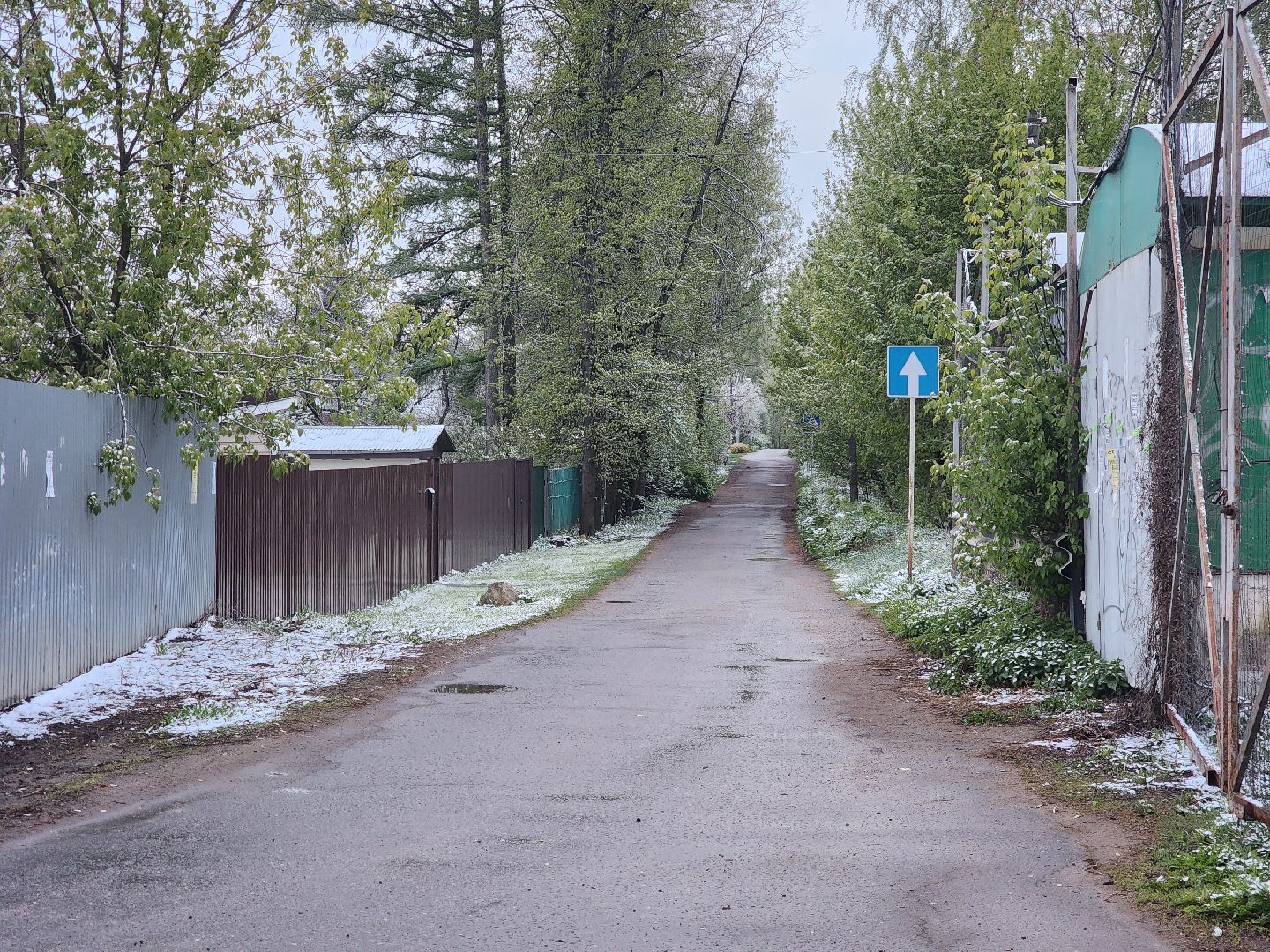 пушкино,