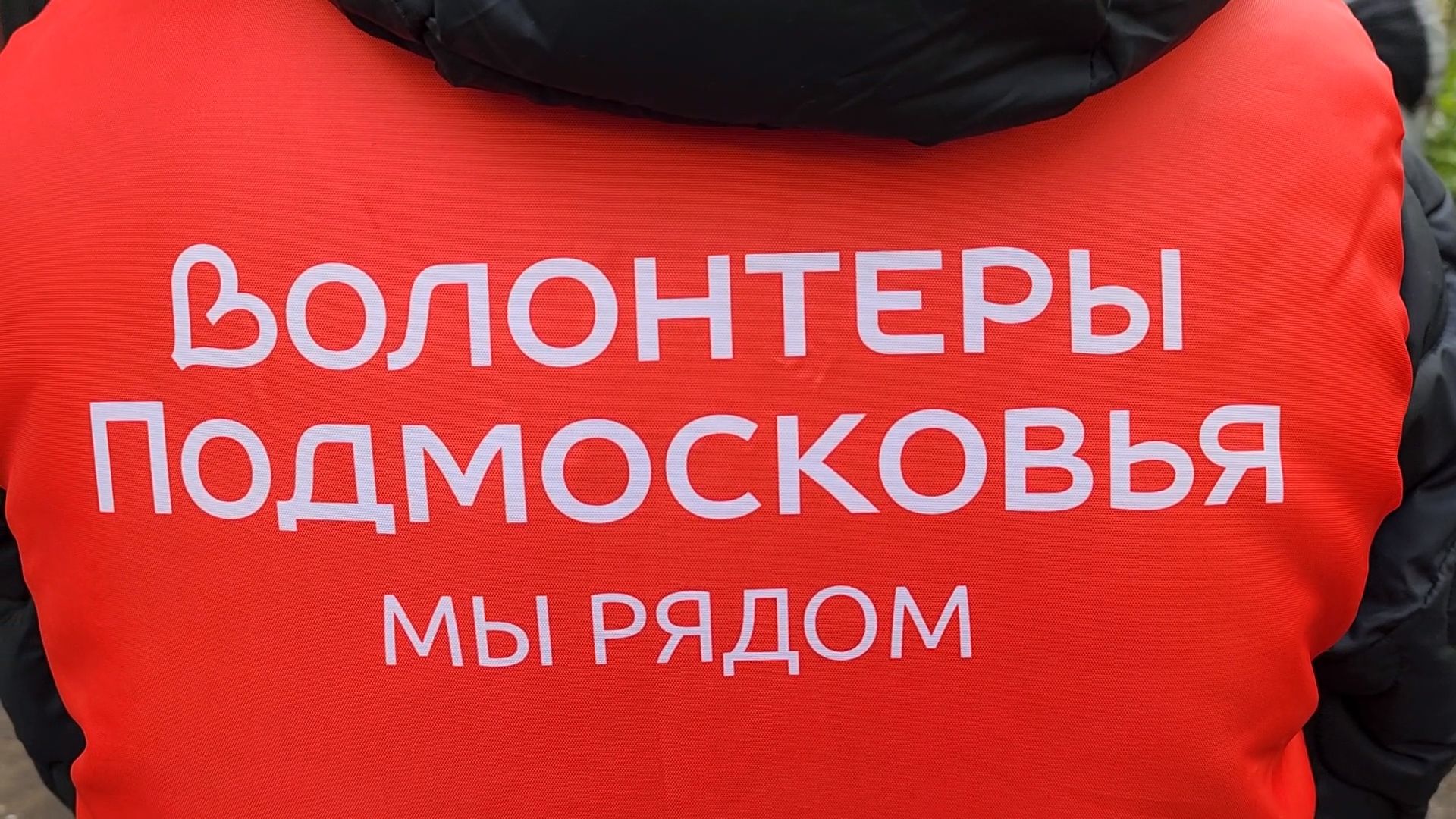 пушкино,