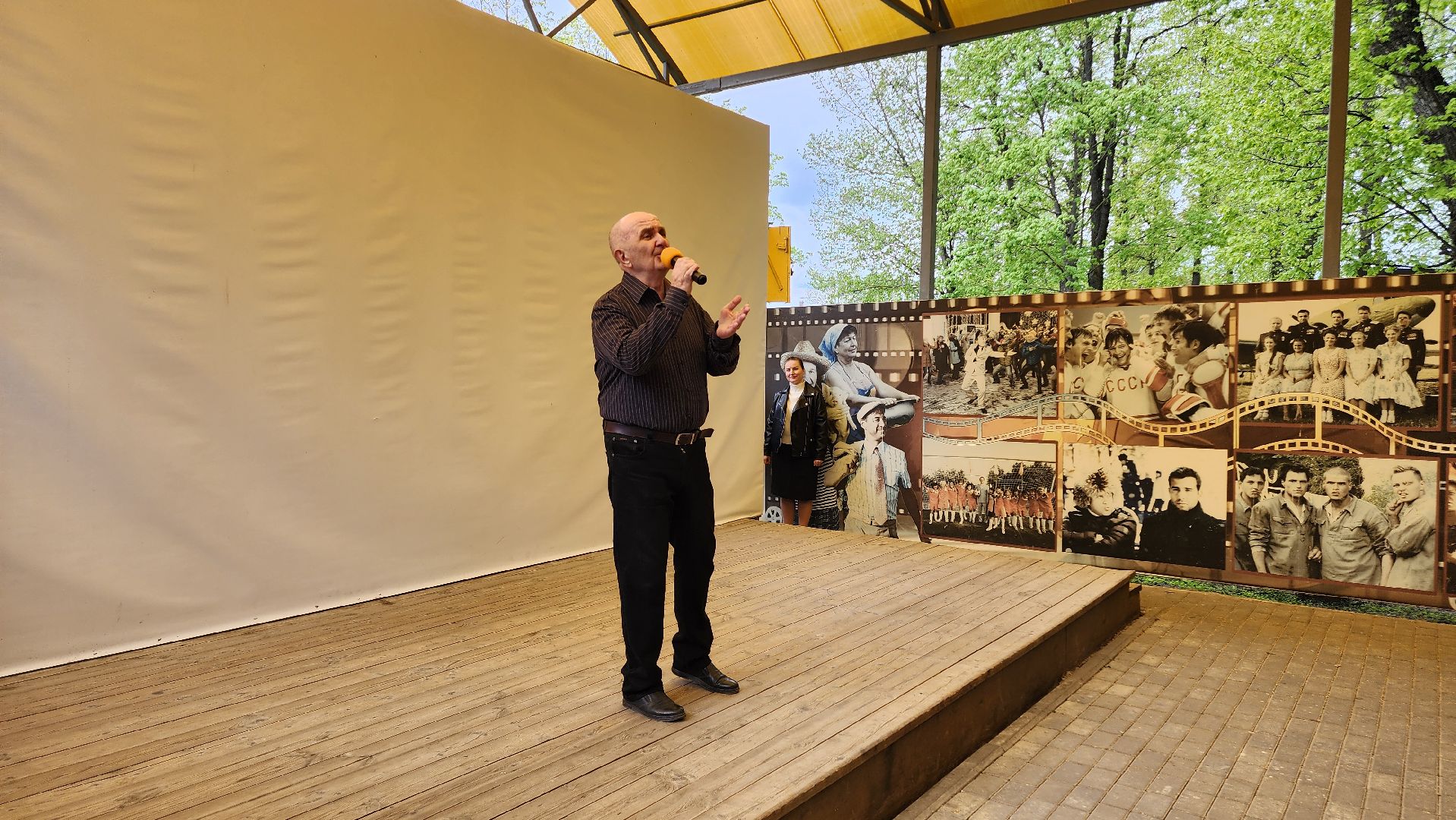 Егорьевск, Подмосковье, Московская область, день победы, Пегас,