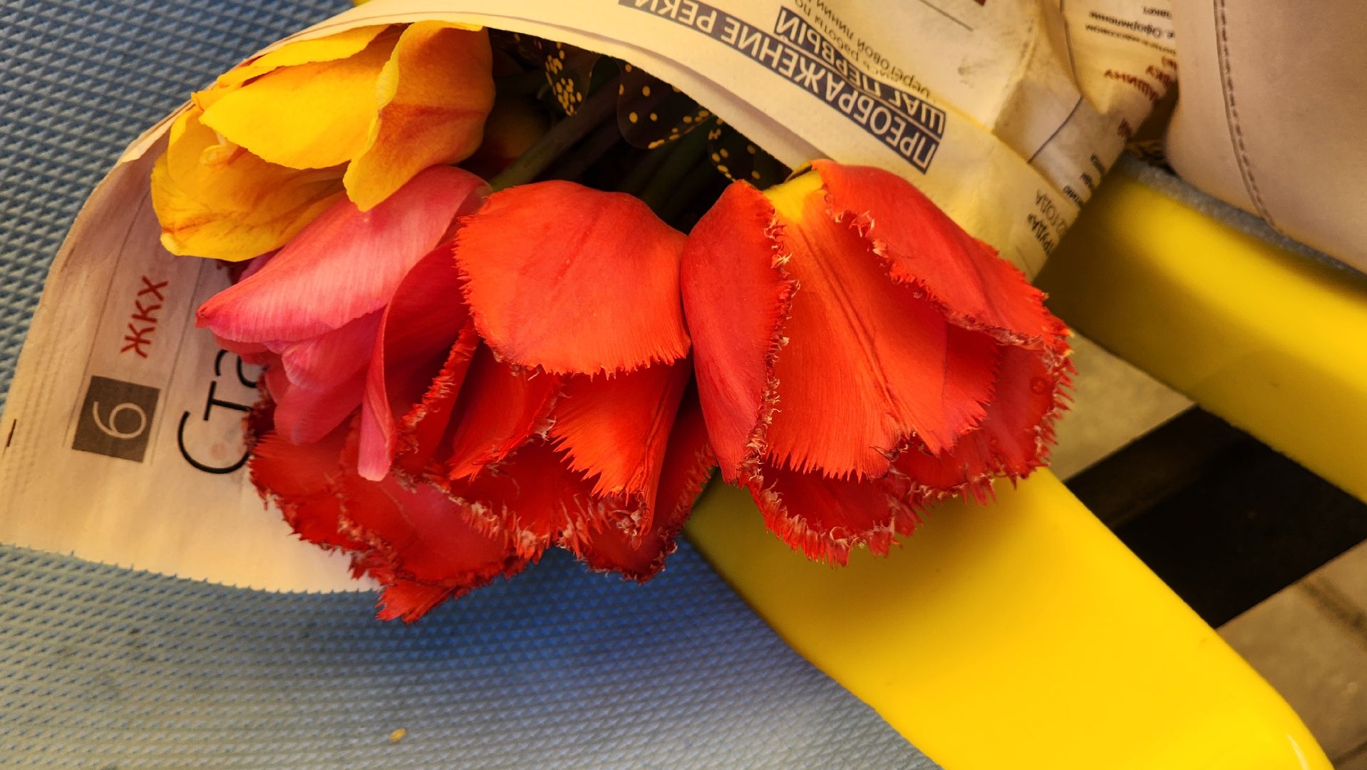 Егорьевск, Подмосковье, Московская область, день победы, Пегас,