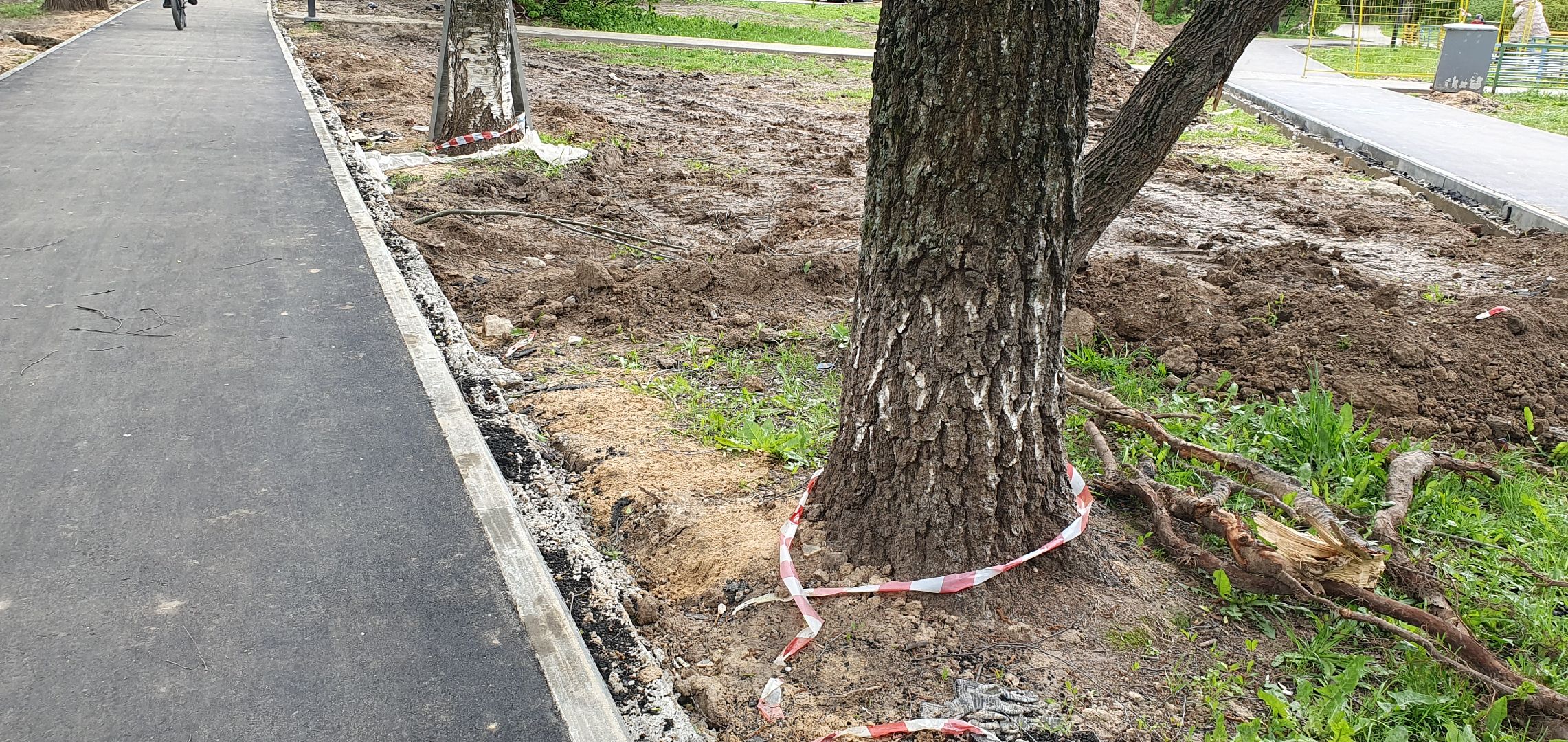 пешеходные тропы, народная тропа, Пешеходные коммуникации, Мытищи,