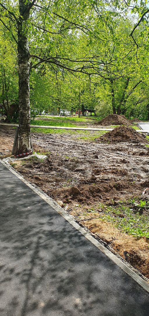 пешеходные тропы, народная тропа, Пешеходные коммуникации, Мытищи,