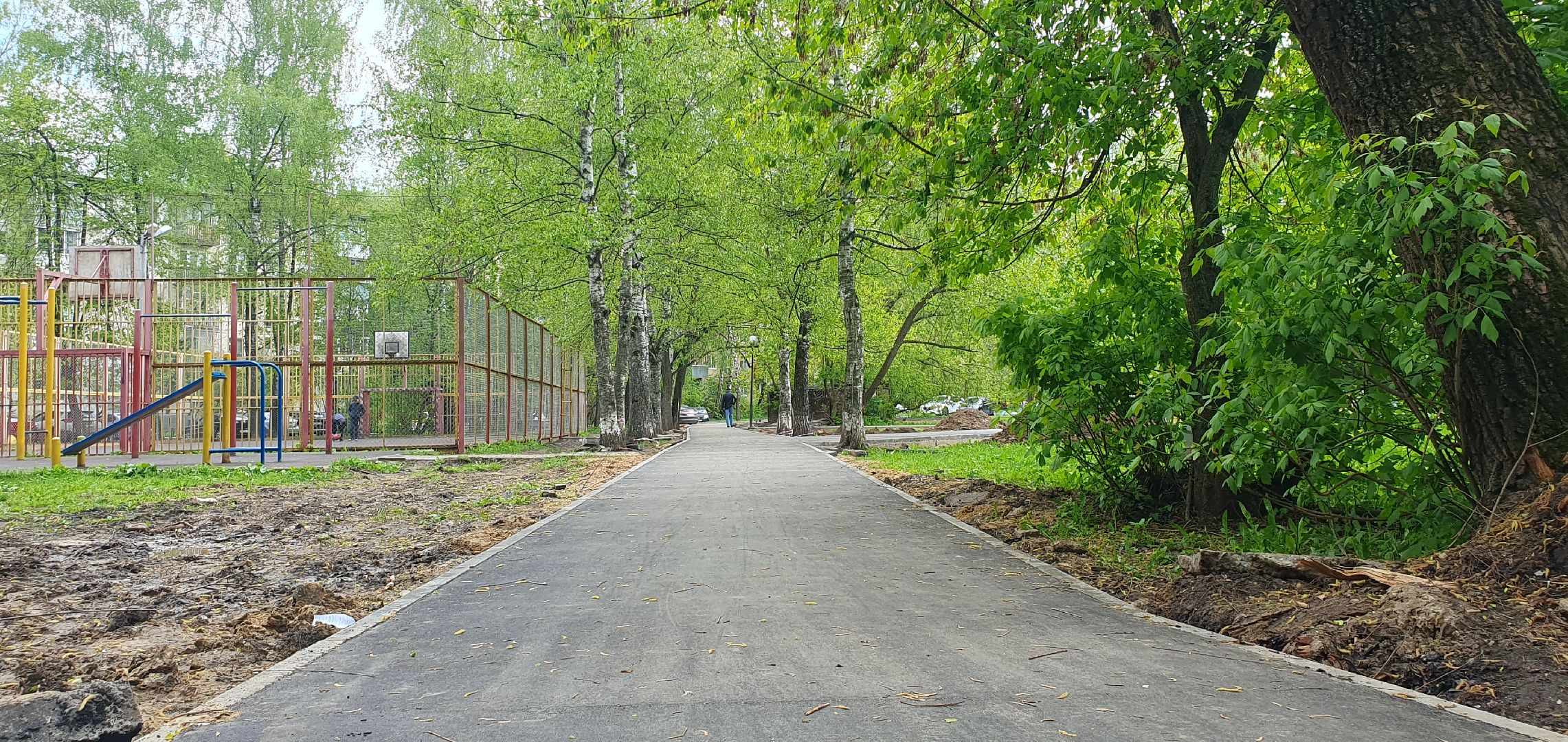 пешеходные тропы, народная тропа, Пешеходные коммуникации, Мытищи,