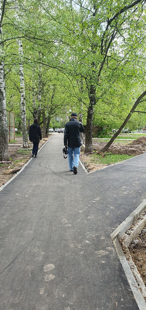 пешеходные тропы, народная тропа, Пешеходные коммуникации, Мытищи,