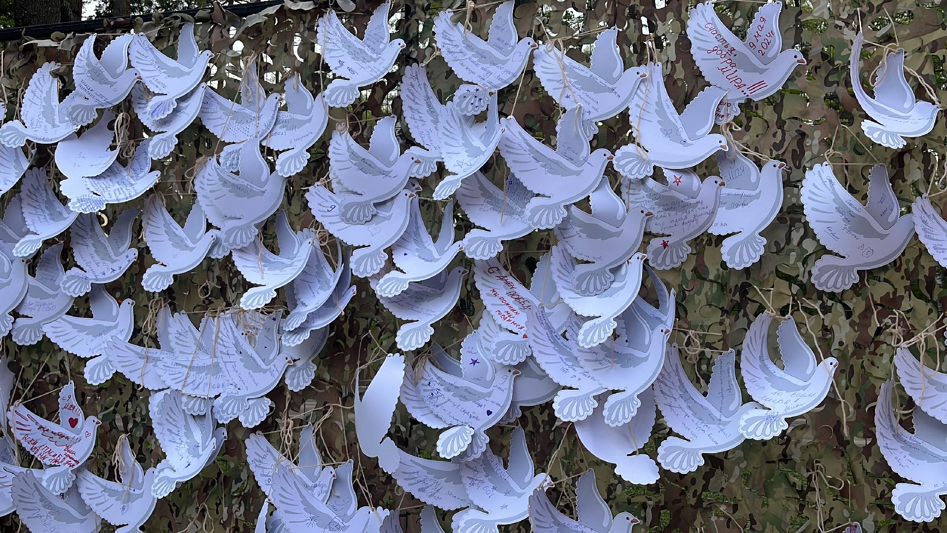 9 мая, день победы, день победы в балашихе, 9 мая день победы, праздничный концерт,79 лет победы, 79-я годовщина победы в вов,