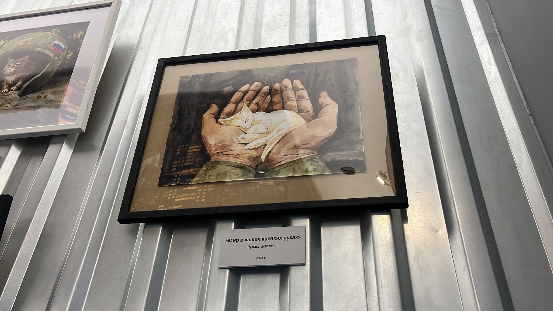 сво, спецоперация, герои сво, герои спецоперации, выставка,