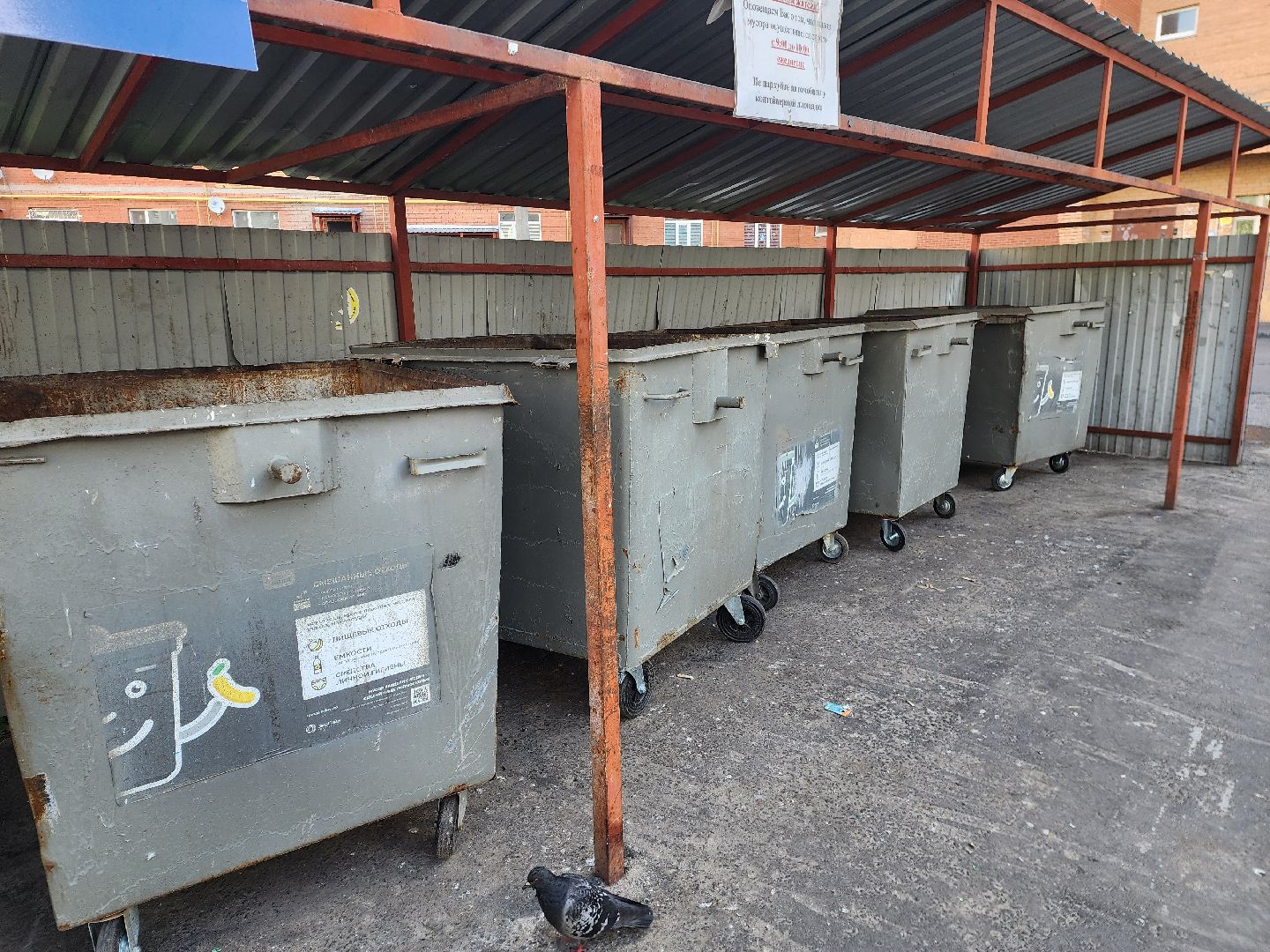 жкх и благоустройство, жкх подмосковье, шатура, мусорные контейнеры, уборка мусора, контейнерные площадки, кп,