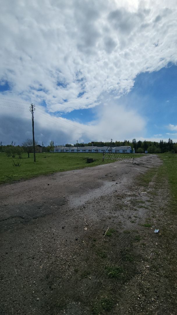 прокуратура, министерство экологии, штраф, экология, руза, рузский городской округ, московская область,