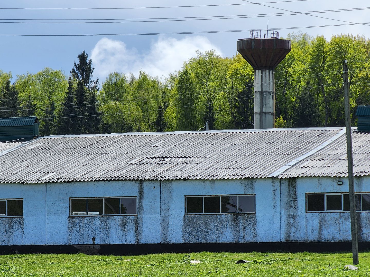 прокуратура, министерство экологии, штраф, экология, руза, рузский городской округ, московская область,