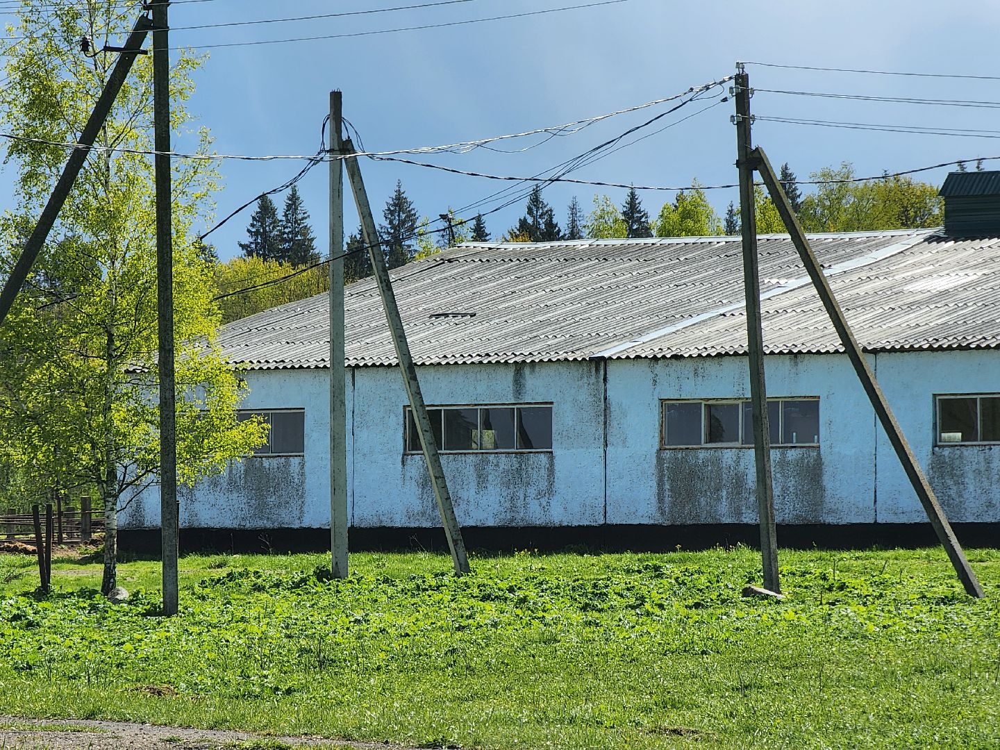 прокуратура, министерство экологии, штраф, экология, руза, рузский городской округ, московская область,