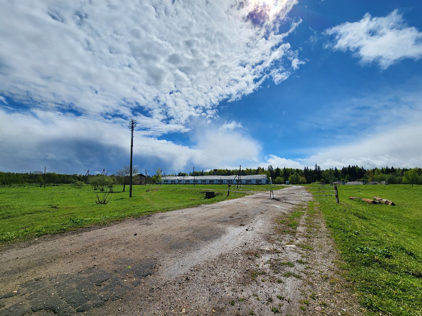 прокуратура, министерство экологии, штраф, экология, руза, рузский городской округ, московская область,