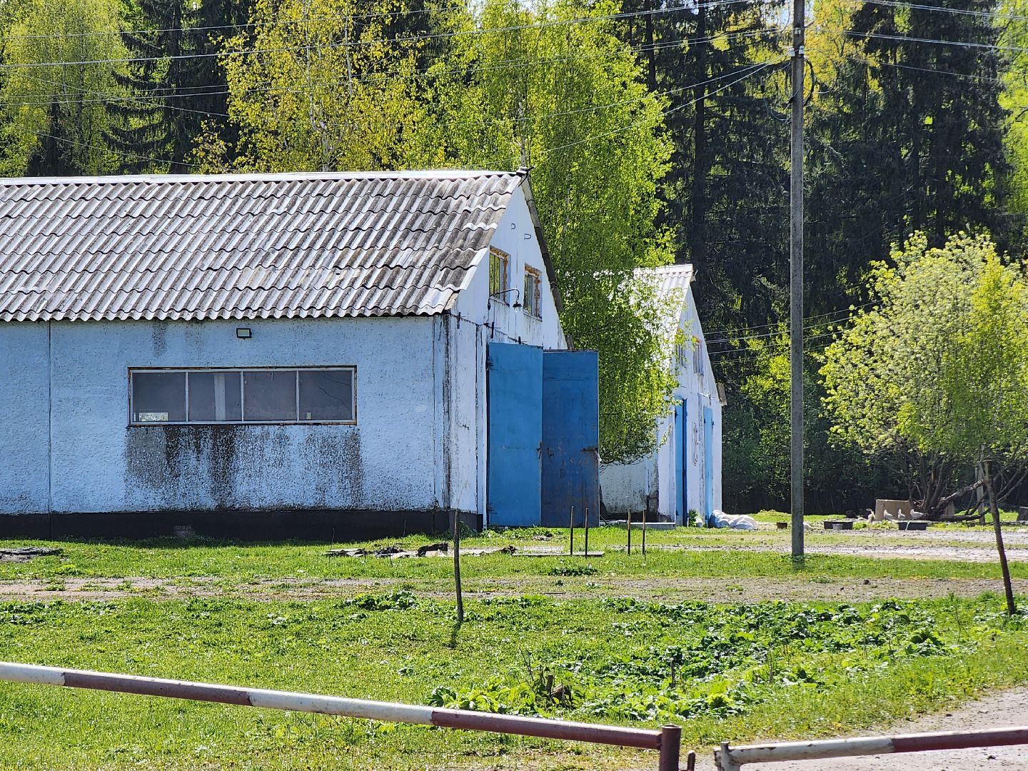 прокуратура, министерство экологии, штраф, экология, руза, рузский городской округ, московская область,