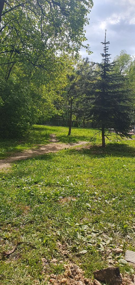 пешеходные коммуникации, мытищи,