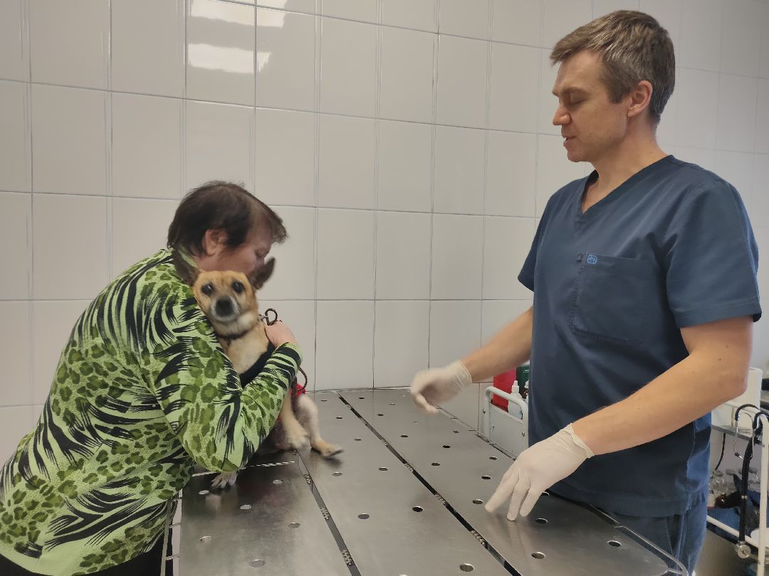 Раменское, общество