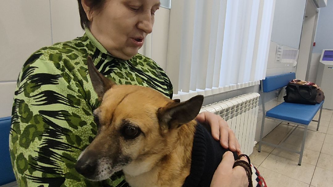 Раменское, общество