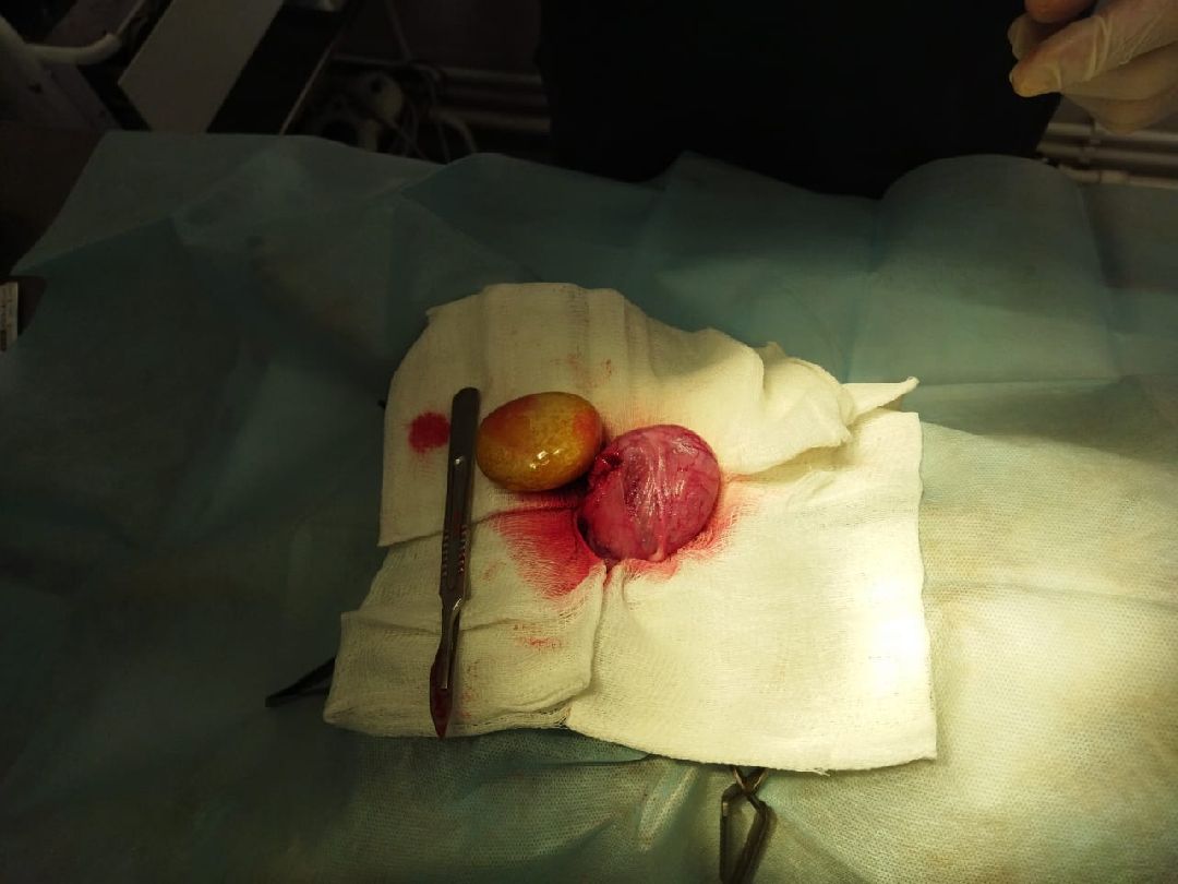 Раменское, общество