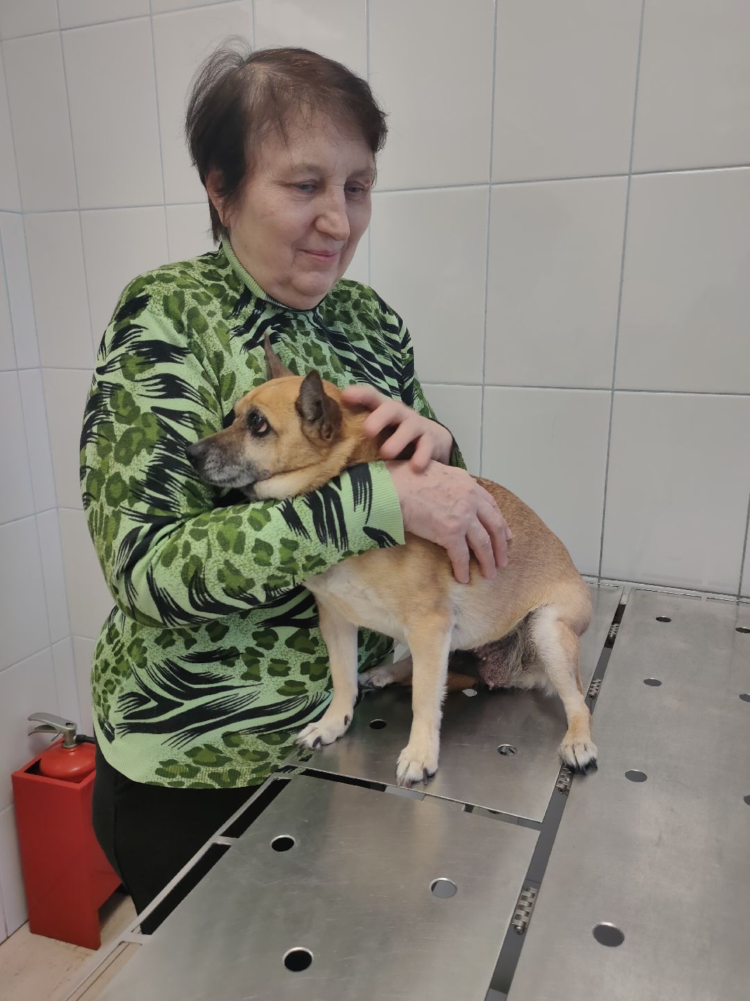 Раменское, общество